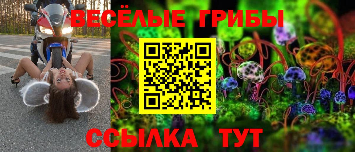 Псилоцибиновые грибы мухоморы Вичуга