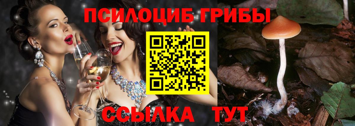Псилоцибиновые грибы ЛСД  Вход с VPN  Вичуга 